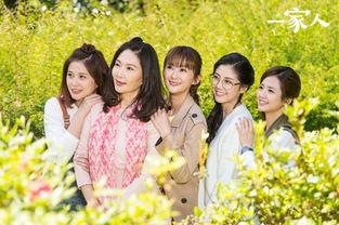 台剧一家人在线观看,温情脉脉的家庭故事 第1张 台剧一家人在线观看,温情脉脉的家庭故事 第1张